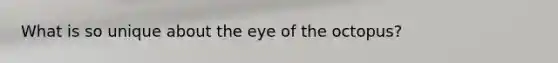 What is so unique about the eye of the octopus?