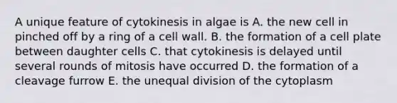 A unique feature of cytokinesis in algae is A. the new cell in pinched off by a ring of a cell wall. B. the formation of a cell plate between daughter cells C. that cytokinesis is delayed until several rounds of mitosis have occurred D. the formation of a cleavage furrow E. the unequal division of the cytoplasm