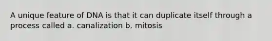 A unique feature of DNA is that it can duplicate itself through a process called a. canalization b. mitosis