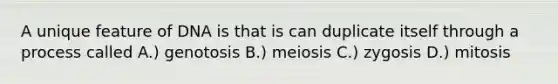 A unique feature of DNA is that is can duplicate itself through a process called A.) genotosis B.) meiosis C.) zygosis D.) mitosis