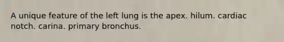 A unique feature of the left lung is the apex. hilum. cardiac notch. carina. primary bronchus.