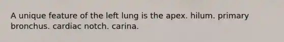 A unique feature of the left lung is the apex. hilum. primary bronchus. cardiac notch. carina.