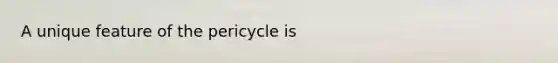 A unique feature of the pericycle is