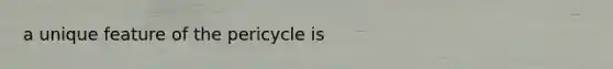 a unique feature of the pericycle is