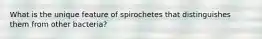 What is the unique feature of spirochetes that distinguishes them from other bacteria?