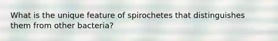 What is the unique feature of spirochetes that distinguishes them from other bacteria?