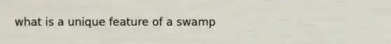 what is a unique feature of a swamp