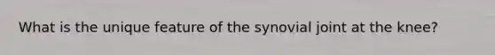 What is the unique feature of the synovial joint at the knee?