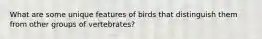 What are some unique features of birds that distinguish them from other groups of vertebrates?