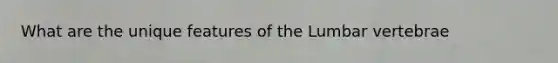 What are the unique features of the Lumbar vertebrae