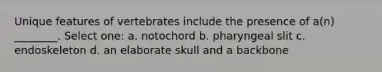 Unique features of vertebrates include the presence of a(n) ________. Select one: a. notochord b. pharyngeal slit c. endoskeleton d. an elaborate skull and a backbone