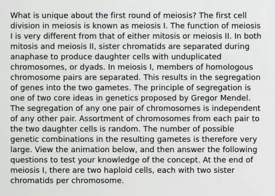 What is unique about the first round of meiosis? The first cell division in meiosis is known as meiosis I. The function of meiosis I is very different from that of either mitosis or meiosis II. In both mitosis and meiosis II, sister chromatids are separated during anaphase to produce daughter cells with unduplicated chromosomes, or dyads. In meiosis I, members of homologous chromosome pairs are separated. This results in the segregation of genes into the two gametes. The principle of segregation is one of two core ideas in genetics proposed by Gregor Mendel. The segregation of any one pair of chromosomes is independent of any other pair. Assortment of chromosomes from each pair to the two daughter cells is random. The number of possible genetic combinations in the resulting gametes is therefore very large. View the animation below, and then answer the following questions to test your knowledge of the concept. At the end of meiosis I, there are two haploid cells, each with two sister chromatids per chromosome.