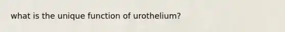 what is the unique function of urothelium?