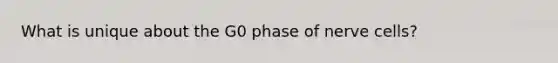 What is unique about the G0 phase of nerve cells?