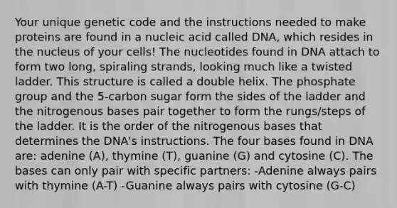 Your unique genetic code and the instructions needed to make proteins are found in a nucleic acid called DNA, which resides in the nucleus of your cells! The nucleotides found in DNA attach to form two long, spiraling strands, looking much like a twisted ladder. This structure is called a double helix. The phosphate group and the 5-carbon sugar form the sides of the ladder and the nitrogenous bases pair together to form the rungs/steps of the ladder. It is the order of the nitrogenous bases that determines the DNA's instructions. The four bases found in DNA are: adenine (A), thymine (T), guanine (G) and cytosine (C). The bases can only pair with specific partners: -Adenine always pairs with thymine (A-T) -Guanine always pairs with cytosine (G-C)