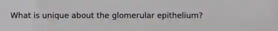 What is unique about the glomerular epithelium?