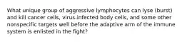 What unique group of aggressive lymphocytes can lyse (burst) and kill cancer cells, virus-infected body cells, and some other nonspecific targets well before the adaptive arm of the immune system is enlisted in the fight?