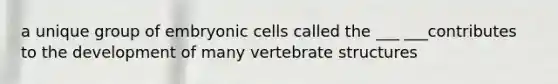 a unique group of embryonic cells called the ___ ___contributes to the development of many vertebrate structures