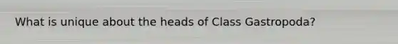 What is unique about the heads of Class Gastropoda?