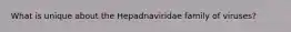 What is unique about the Hepadnaviridae family of viruses?