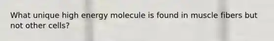 What unique high energy molecule is found in muscle fibers but not other cells?