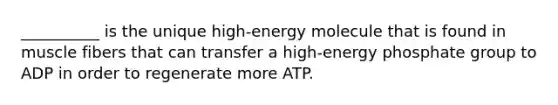 __________ is the unique high-energy molecule that is found in muscle fibers that can transfer a high-energy phosphate group to ADP in order to regenerate more ATP.