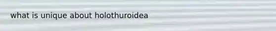 what is unique about holothuroidea