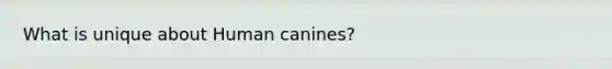 What is unique about Human canines?