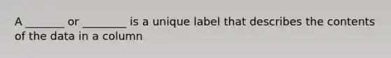 A _______ or ________ is a unique label that describes the contents of the data in a column