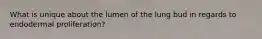 What is unique about the lumen of the lung bud in regards to endodermal proliferation?