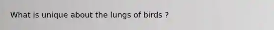 What is unique about the lungs of birds ?