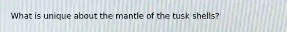 What is unique about the mantle of the tusk shells?