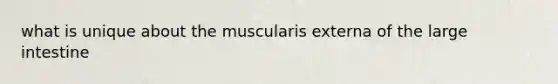 what is unique about the muscularis externa of the large intestine