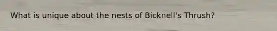 What is unique about the nests of Bicknell's Thrush?