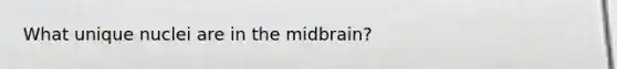 What unique nuclei are in the midbrain?