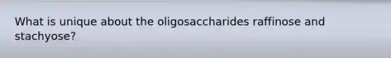 What is unique about the oligosaccharides raffinose and stachyose?