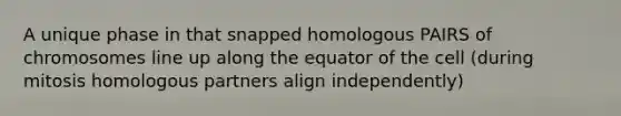 A unique phase in that snapped homologous PAIRS of chromosomes line up along the equator of the cell (during mitosis homologous partners align independently)