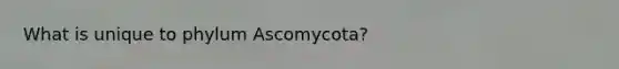 What is unique to phylum Ascomycota?