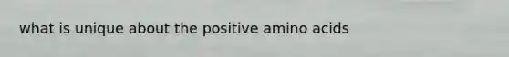 what is unique about the positive <a href='https://www.questionai.com/knowledge/k9gb720LCl-amino-acids' class='anchor-knowledge'>amino acids</a>