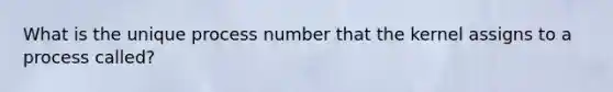 What is the unique process number that the kernel assigns to a process called?