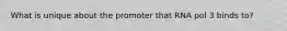 What is unique about the promoter that RNA pol 3 binds to?