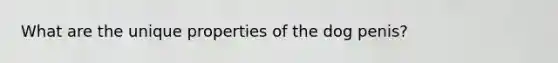 What are the unique properties of the dog penis?