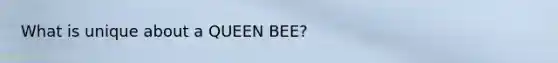 What is unique about a QUEEN BEE?