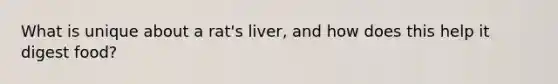 What is unique about a rat's liver, and how does this help it digest food?