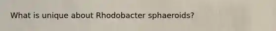 What is unique about Rhodobacter sphaeroids?