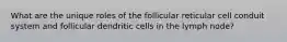 What are the unique roles of the follicular reticular cell conduit system and follicular dendritic cells in the lymph node?