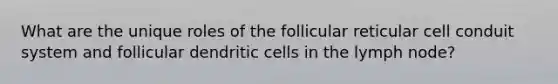 What are the unique roles of the follicular reticular cell conduit system and follicular dendritic cells in the lymph node?