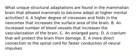 What unique structural adaptations are found in the mammalian brain that allowed mammals to become adept at higher mental activities? A. A higher degree of crevasses and folds in the neocortex that increases the <a href='https://www.questionai.com/knowledge/kEtsSAPENL-surface-area' class='anchor-knowledge'>surface area</a> of <a href='https://www.questionai.com/knowledge/kLMtJeqKp6-the-brain' class='anchor-knowledge'>the brain</a>. B. An increased number of blood vessels that increases the vascularization of the brain. C. An enlarged pons. D. A cranium that will protect the brain from damage. E. A more direct connection to <a href='https://www.questionai.com/knowledge/kkAfzcJHuZ-the-spinal-cord' class='anchor-knowledge'>the spinal cord</a> for faster conduction of neural impulses