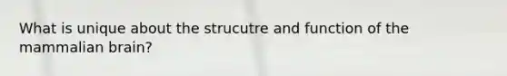 What is unique about the strucutre and function of the mammalian brain?