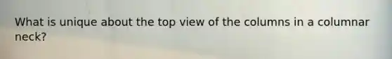 What is unique about the top view of the columns in a columnar neck?